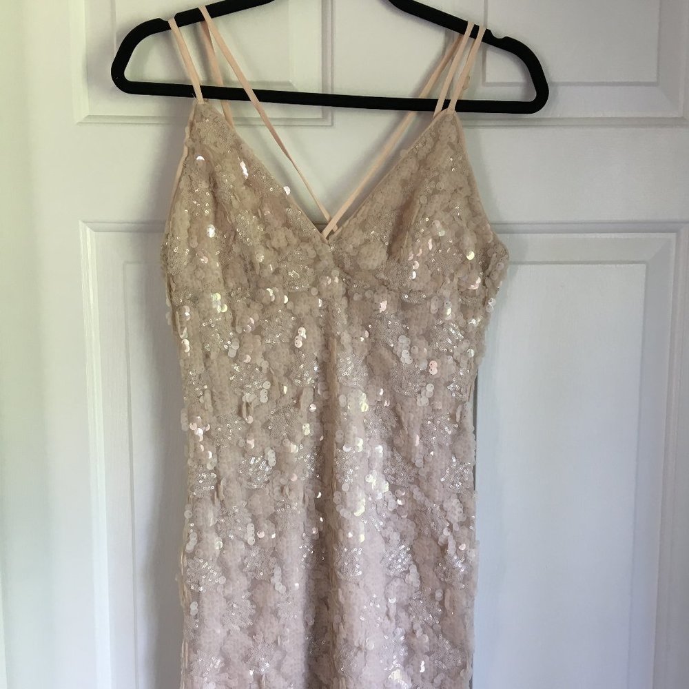 NWT Blush Colored Sequins Dress